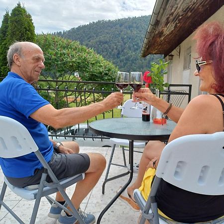 Apartma Ginga Osilnica Dış mekan fotoğraf