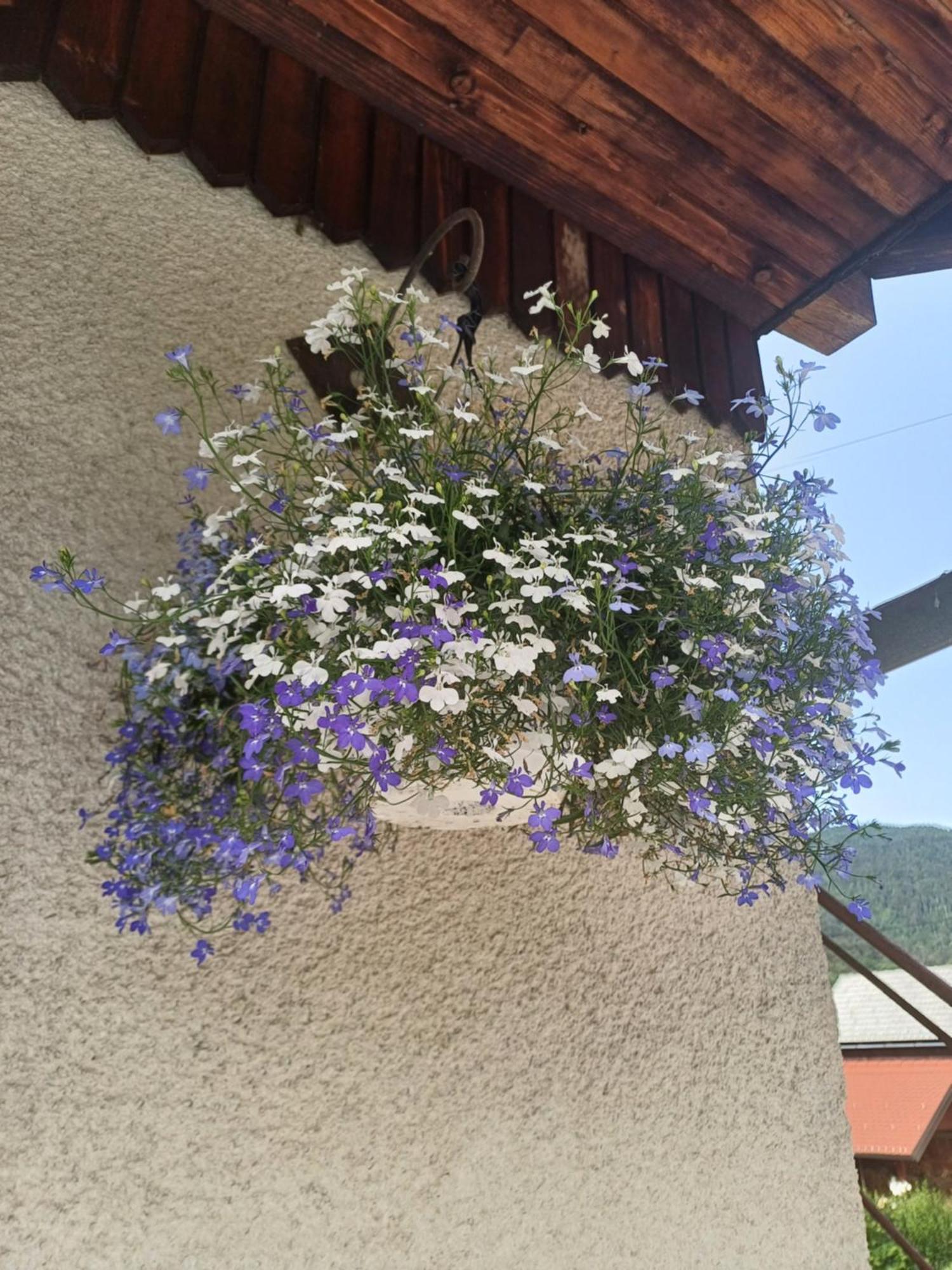 Apartma Ginga Osilnica Dış mekan fotoğraf
